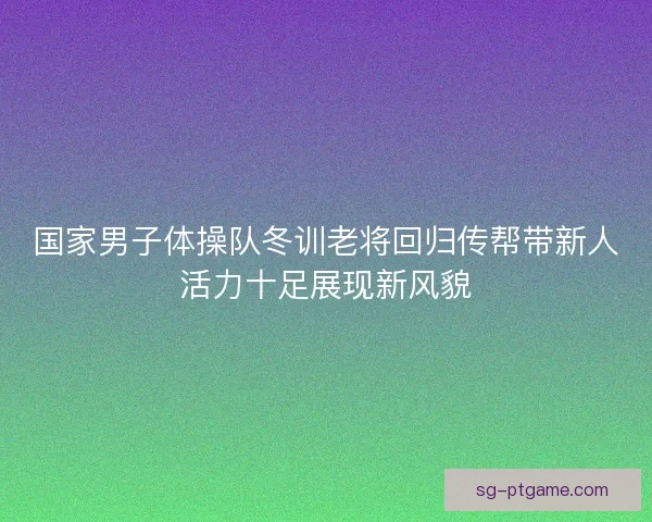 国家男子体操队冬训老将回归传帮带新人活力十足展现新风貌