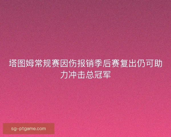 塔图姆常规赛因伤报销季后赛复出仍可助力冲击总冠军 塔图姆常规赛因伤报销季后赛复出仍可助力冲击总冠军